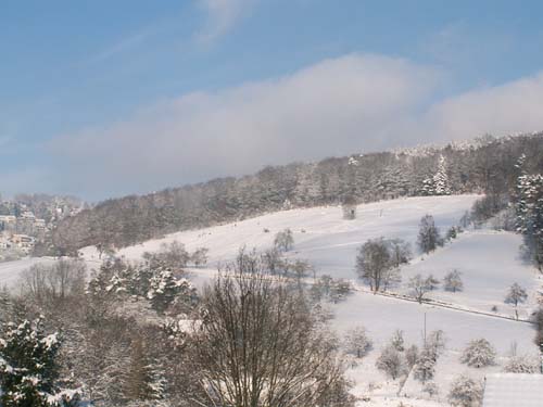 Wilhelmsfeld im Winter
